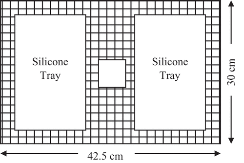 Figure 1. Sample arrangement on trays in dehydrator