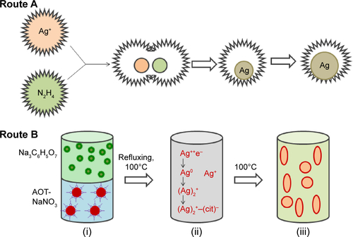 Figure S1 Schematic representation of synthesis of Ag nanoparticles and nanorods.Abbreviation: AOT, aerosol-OT.
