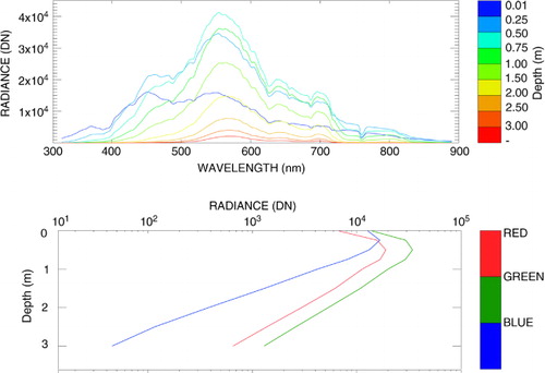 Fig. 5 Measurements of spectral downwelling zenith radiance at several levels deep in Monte Novo reservoir on 12 July 2012, for a sun zenith angle of 26.6°. In the lower panel the average radiance profiles for the blue (400–500 nm), green (500–600 nm) and red (600–700 nm) parts of the spectrum.