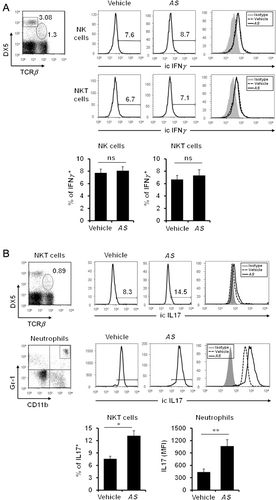 Figure 3. In vivo treatment with AS extracts upregulates IL17 production by NKT cells and neutrophils.Note: After two weeks of immunization, the intracellular expression levels of IFNγ (A) and IL17 (B) by splenocytes from vehicle- or AS extract-treated mice were measured by flow cytometry gated on DX5+TCRβ− (NK cells), DX5+TCRβ+ (NKT cells), or non-B/non-T (NBNT) Gr-1+CD11b+ (neutrophils) populations. Data are shown as the means ± SD (n = 3; *P ≤ 0.05; **P ≤ 0.01).