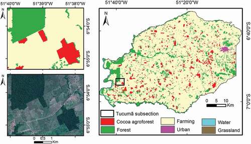 Figure 4. Reference image for the municipality of Tucumã. This image was obtained using the data for the year of 2019 available on MapBiomas (collection 5) map and the cocoa agroforest data collected by participatory mapping in the Embrapa’s MapCacao project, which is not included in MapBiomas. A section of the map is shown on the left to illustrate the similarity between the forest and cocoa agroforest land cover types.