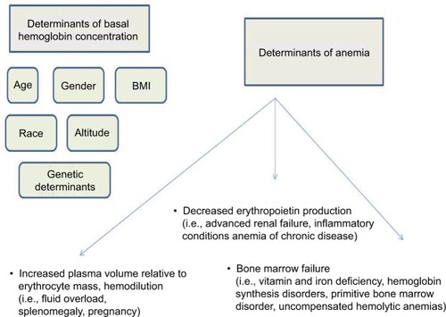 Figure 1 Determinants of anemia.