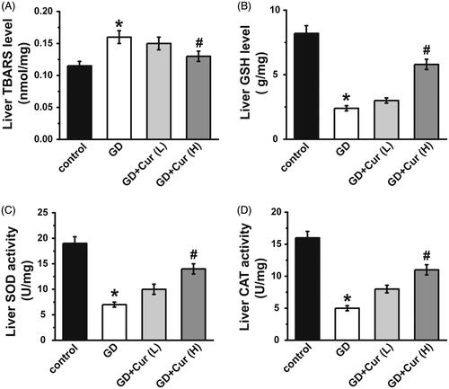 Figure 2. Curcumin (Cur) alleviates oxidative stress on gestational diabetes (GD) mice. TBARS (A), GSH (B), SOD (C) and CAT (D) activities were assayed. GSH: glutathione; TBARS: thiobarbituric acid reactive substance; CAT: catalase; SOD: superoxide dismutase. *p < 0.05, compared with control; #p < 0.05, compared with GD.