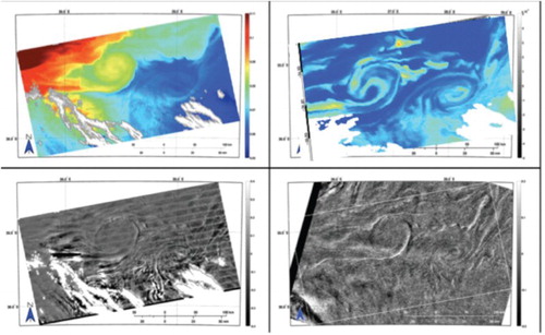 Figure 9. Surface expression of mushroom like eddy structure and filaments with a scale of 5-50 km. (Upper left) MODIS SST map, (lower left) the mean square slope derived from the MODIS reflected shortwave signal, (upper right) MODIS derived chlorophyll-a map, and (lower right) the contemporaneous Envisat ASAR backscatter image (from CitationKudryavtsev et al. 2012).