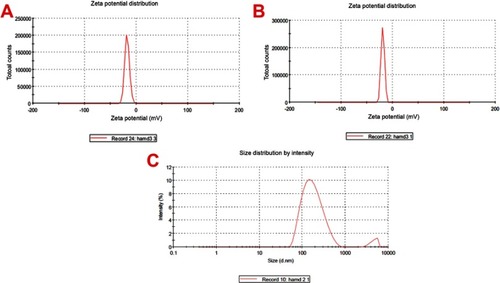 Figure 4 Zeta potential representations (A) showed the distribution of nanoparticles (NPs) derived from cockleshells, (B) doxorubicin NPs, and (C) zeta size representations.