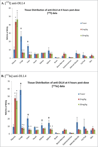 Figure 3. Tissue Distribution of [125I]-labeled /[111In] anti-DLL4 following administration either as tracer alone or with 2 mg/kg and 20 mg/kg of unlabeled anti-DLL4. Representative tissue data were from 4h post-dosing (Mean ± SD, n = 3 per time point per group). (A) [125I] anti-DLL4; (B) [111In] anti-DLL4. P values were determined using student t test comparing (i) radioactivity in different organs with plasma in the tracer group; (ii) comparing tissue radioactivity in the tracer alone group with that in 2 mg/kg or 20 mg/kg groups. (for i) and * (for ii) indicates p < 0.05.