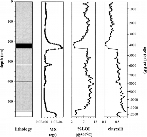 FIGURE 4. Lithology, magnetic susceptibility (MS), loss on ignition (LOI), and grain size data from core LS-A. Tephra layers are shown in black, light gray shading is organic brown gyttja, and white is inorganic silty clay. Ages are modeled calibrated ages