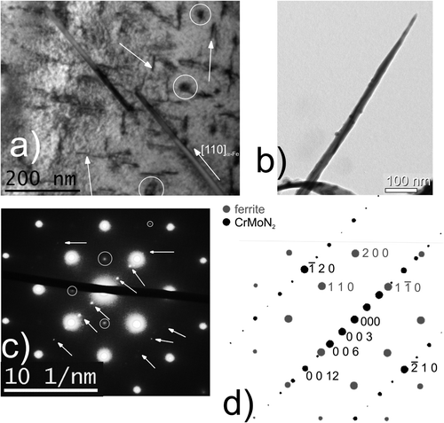 Figure 8. (a) TEM bright field micrograph (BF) showing CrMoN2 lamellae with their broad faces parallel to {1 1 0}α-Fe ferrite lattice planes in Fe–1Cr–1Mo alloy nitrided at 580 °C for 72 h with a nitriding potential of 0.1 atm−½. Some spherical (Cr,Mo)N x particles in the ferrite lamellae have been indicated by white circles. Undulating appearing platelets in the ferrite lamellae (arrows), oriented along {1 0 0}α-Fe ferrite planes, are α″-Fe16N2 precipitates formed in the nitrogen supersaturated (after quenching) ferrite lamellae upon ageing at low (RT) temperatures [Citation49,50]. (b) Free-standing CrMoN2 lamella employed for EDX analysis: a Mo/Cr-ratio larger than 1 was observed (see discussion in Section 3.2). (c) SADP (electron beam/zone axis [0 0 1]α-Fe) of (a). The arrows indicate spots belonging to the CrMoN2 phase; circled spots originate from unavoidable magnetite Fe3O4 present on the TEM foil. (d) Schematic diffraction pattern of the ferrite matrix and the CrMoN2 nitride corresponding to a [11¯00] CrMoN2/[0 0 1]α-Fe zone axis. The arrangement of the spots indicates (0 0 0 1)CrMoN2||(1 1 0)α-Fe.