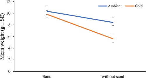 Figure 1. Interaction plot of final mean weight (± SE) of sea cucumbers reared in ambient or cold-water temperature with/without sand substrate over eight weeks.