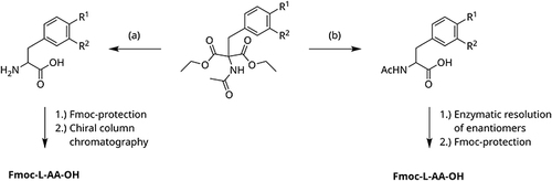 Scheme 2 Two possible routes to obtain Fmoc-protected amino acids. Route (a) presents acidic conditions and route (b) alkaline reaction conditions.