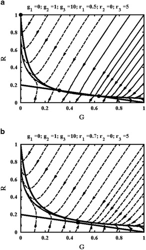 Figure 3 Example null isoclines (thick, full lines), equilibrium states (points) and phase portraits (thin, full and dashed lines) for a government initially in power, with (a) major unrest and (b) rebels gaining power.