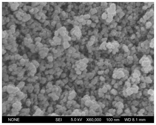 Figure 1 Crystal appearance of Fe3O4-nanoparticles (SEM).Abbreviation: SEM, scanning electron microscopy.