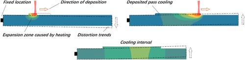 Figure 7. Schematic of substrate deformation during a single thermal cycle.