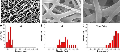 Figure 7 SEM images and fiber diameter distributions of electrospun PLGA/lidocaine nanofibers.Notes: The average diameters of the nanofibers of drug-to-polymer ratios were (A) 280±126 nm in the 1:3 ratio, (B) 980±247 nm in the 1:6 ratio, and (C) 1405±168 nm in the virgin nanofibers (without drug loading). ×2,000 Magnification.Abbreviations: SEM, scanning electron microscope; PLGA, poly([d,l]-lactide-co-glycolide).