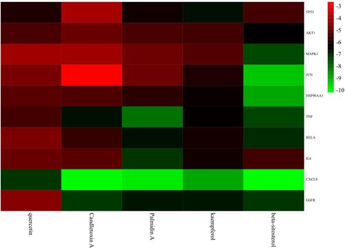 Figure 9 Correlation heatmap of docking results between the 10 core targets and five pivotal ingredients. The binding energy was marked by different colors, red for higher scores and green for lower scores. It could be observed that all core targets could stably bind with five pivotal ingredients, especially CXCL8 showed the lowest energy.