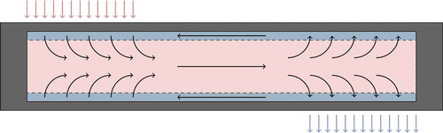 Fig. 1. Illustration of normal operation in a conventional axial heat pipe. Vapor is shown in pink, liquid in blue, and cladding in gray