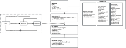 Figure 1 Graphical representation of the MR assumptions.