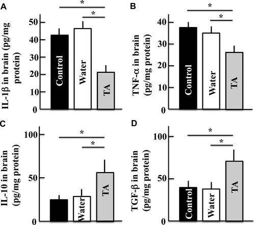 Figure 6 Effects of tranexamic acid on the levels of IL-1β (A), TNF-α (B), IL-10 (C), and TGF-β (D) in the mice brains. Two years after treatment, we measured the concentrations of IL-1β, TNF-α, IL-10, and TGF-β in the mice brains using ELISA kits. Values are expressed as means ± standard deviations derived from the samples from 10 mice. *p < 0.05.