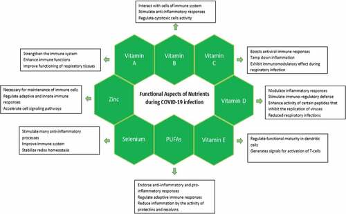 Figure 3. Role of different dietary components in boosting immunity during COVID-19.