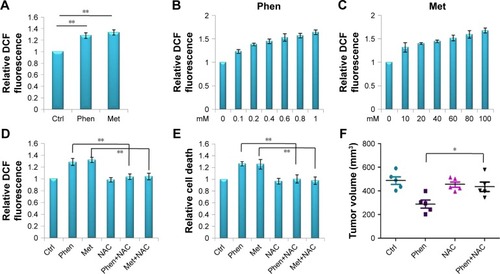 Figure 6 Phen and Met induced cell death through ROS imbalance.