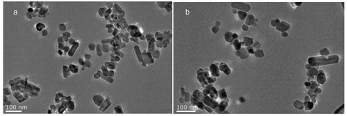 Figure 1. TEM observations of the pearl powder after grinding.