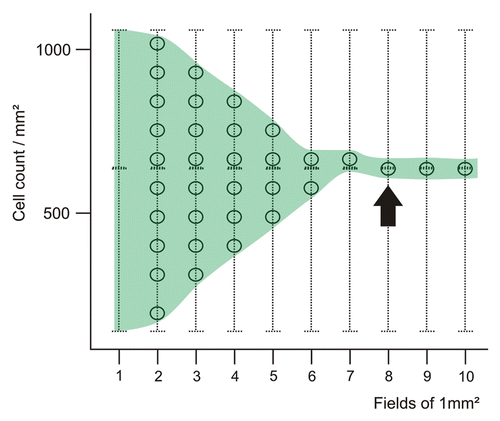 Figure 2. Convergence of the average cell number with increasing surface tissue area. The circles on the vertical lines indicate the possible resulting average cell number. Increasing the number of analyzed 1 mm2 fields (as indicated on the x-axis) results in a stabilization of the average cell number for a given tissue section.
