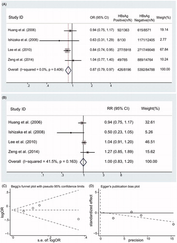 Figure 4. Summary estimate for RR of proteinuria according to HBsAg serologic status (A) Summary estimate for OR of proteinuria according to HBsAg serologic status; (B) Summary estimate for adjusted RR of proteinuria according to HBsAg serologic status; (C) Begg’s funnel plot; (D) Egger’s funnel plot.