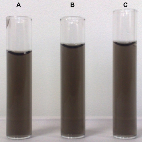 Figure 10 Homogenous dispersion of functionalized single-walled carbon nanotubes (sample from Table 1, run 14) A) at the time of preparation, B) after storage for 1 month, and C) after storage for 2 months.