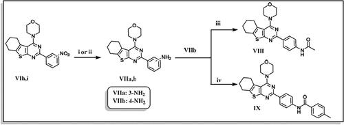 Scheme 3. Preparation of 2-(4-anilino)-4-(4-morpholino)-5,6 substituted thienopyrimidine derivatives (VII–IX). Reagents & Conditions: (i) H2/Pd, DCM, 8 h, 90% (ii) Sodium dithionite,10% NaOH, acetone, reflux, 3 h, 85% (iii) Acetic anhydride, dry DCM, RT, 85% (iv) p-Tolyl chloride, TEA, Dry DCM, RT, overnight, 80%.
