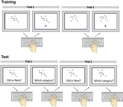 Figure 2 Dot Pattern Classification Task (Concept Learning). At training, participants are presented a series of dot patterns (exemplars) to classify these into three categories (A, B, and C). Only categories A and B are shown in this example. At test, participants must classify the dot patterns seen during training (Old Exemplars), novel dot patterns not previously seen but belonging to the same three categories (New Exemplars), and the prototypes from which each category was derived, also not previously seen (Prototypes).
