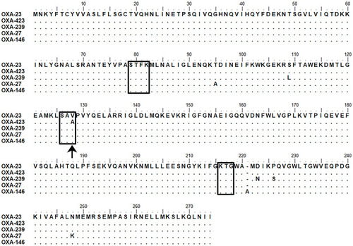 Figure 1 Sequence alignment of OXA-423 with several OXA-23-like carbapenemases. Conserved motifs are boxed. The Val128Ala substitution in OXA-423 was indicated by a black arrow.