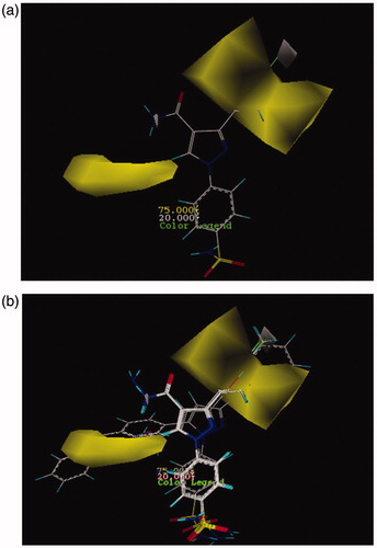 Figure 2. CoMSIA contour maps for hydrophobic and hydrophilic features: (a) for compound 26 and (b) for more active compounds than AZA.