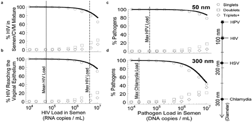 Figure 4. Simulations of virion collisions at different viral loads and particle sizes. The fraction of virions over the first 12 hours post ejaculation as a function of virion density in semen which have undergone no collision (singlets), one collision (doublets) or two or more collisions (triplets+) for all HIV virions (a) in semen/CVM mixture and (b) that have reached the vaginal epithelium. (c–d) The fraction pf (c) 50 nm pathogens and (d) 300 nm pathogens in diameter that have diffused across CVM and reached the vaginal epithelium. Solid line represents an exponential function approximation of the virion load arriving at the epithelial layer that experiences no collisions with other virions. Modified and reproduced under creative commons license from.Citation68