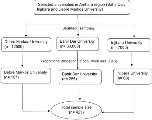 Figure 2 Sampling procedure schematic presentations among students in universities, 2019.