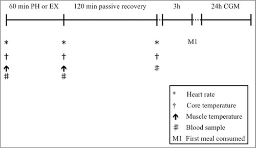 Figure 1. Schematic representation of the experimental trials. The first meal after each intervention was consumed after 3 hours. Dietary intake was replicated between conditions. PH, passive heating; EX, exercise; CGM, continuous glucose monitoring.