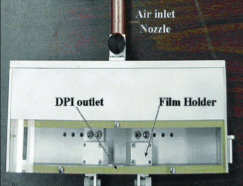 FIG. 1 Prototype of flutter based DPI. (Figure provided in color online.)