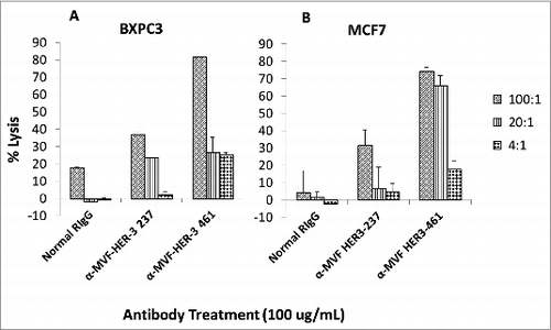 Figure 6. MVF HER-3 antibodies have the ability to elicit ADCC. HER-3 positive cancer cells BxPC3 (A) and MCF7 cells (B) were used as target cells. Target cells were seeded and incubated in the presence of human PBMCs at different effector: target cell ratios (100:1, 20:1, 4:1). Cells were then treated for one hour with MVF HER-3 antibodies (100 μg/mL) prior to cell lysis. The Acella-tox kit (Cell Technology) was used to measure the relative amount of ADCC and cell lysis was measured according to the manufacturer's instructions. Results represent average of three different experiments (n = 3)) and display the % lysis of treatment groups when compared to 100% target cell lysis. . Normal rabbit IgG (Pierce) was used as a negative control.