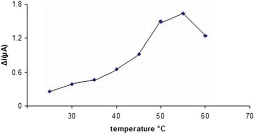 Figure 4. The effect of temperature on the activity of the Pt/PPy-PVSXOD electrode.