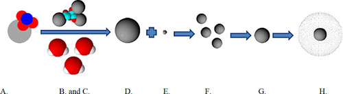 Figure 8 Schematic representation of the reaction mechanism of the silver nanoparticles formation: (A) Silver Nitrate (AgNO3), (B). Tri-Sodium Citrate (TSC), (C). Water Molecules, (D). Silver ions, (E). Electron, (F). Nano-seeds (primitive nanoparticles). (G). Nucleation, aggregation of smaller nano-seeds, (H). Nanoparticle stabilization by citrate ions.