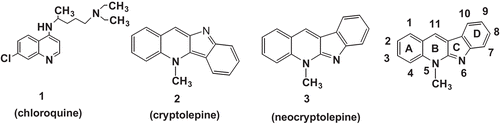 Figure 1.  Structures of chloroquine (1), cryptolepine (2), neocryptolepine (3).