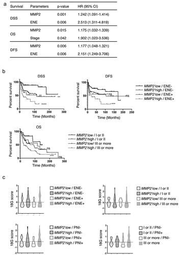 Figure 3. MMP2, ENE, and stage define prognostic groups with an equivalent expression of an 18-gene signature predictive of response to PD-1 blockade.