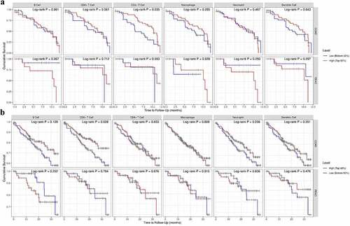 Figure 5. The survival difference of CRC TILs of each subset. To visualize the survival differences measured by TIMER 2.0, the Kaplan–Meier plots for immune infiltrates of CRC are shown in A-B. A: 12-month follow-up; B: 36-month follow-up. The median divides the infiltrating levels of each subset into two categories: low and high. each graphic displays the P-value of a log-rank test used to compare two groups’ survival curves.