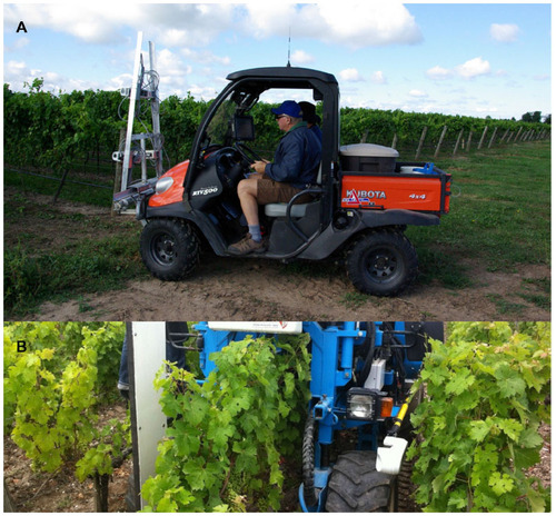 Figure 5 The Trimble® GreenSeeker® multispectral sensor for canopy monitoring, carried on a quad (Practical Precision Inc., Tavistock, Canada) (A) or tractor (Avidorhightech SA, Le Mont-Pèlerin, Switzerland) (B).