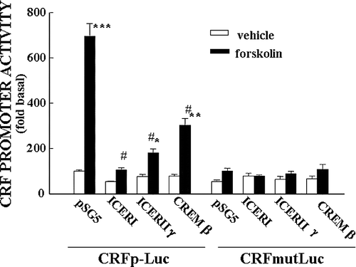 Figure 7 Repressor isoforms of CREM inhibit CRF promoter activity in a CRE dependent manner. Effect of co-transfection of the expression vector, pSG5, empty or containing ICER I, ICER II or CREMβ on basal and forskolin-stimulated CRF promoter activity in the hypothalamic cell line, H32 simultaneously transfected with CRF promoter–luciferase reporter genes. Cells were co-transfected with CRF promoter–luciferase reporter plasmids, without (CRFp-Luc) or with inactivating mutations of the CRE (CRFmut-Luc) and the expression vector, and 18 h later incubated with forskolin for 6 h before measurement of luciferase activity. Bars represent the mean and SE of the data obtained in three experiments. * p < 0.01 vs. respective vehicle; #, p < 0.01 compared to forskolin-stimulated pSG5. From Liu et al. (Citation2006).
