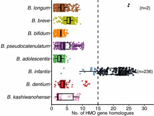 Figure 3. Pan-genomic demonstration of the abundance of HMO related genes in BL. infantis by comparison to other infant-borne bifidobacterial species. (Reproduced with permission from Zeng et al.Citation59).