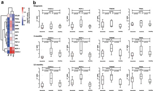 Figure 4. Differences of plasma protein at diagnosis and during TKI therapy. A p-value heatmap presenting significant differences between imatinib- and bosutinib-treated patients’ plasma proteins (a). Imatinib-treated patients have a significant increase in MCP-1, CX3CL1. TWEAK and TRAIL at both 3-month and 12-month time-points (b). Non-parametric Wilcoxon signed-ranked test was performed to compare differences between treatments and data are presented as boxplots. Protein levels are expressed as Normalized Protein eXpression (NPX) values, an arbitrary unit on log2-scale.