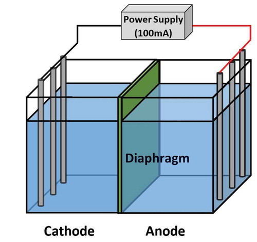 Figure 1. Electrolysis system.