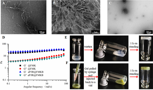 Figure 1 Characterization of aP/IR@FMKB for multimodal tumor therapy.