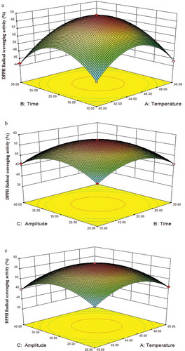 Figure 3. Response surface plots showing the effect of three factors and their interactions on the DPPH radical scavenging activity of β-Lactoglobulin. (a) Ultrasonic temperature and ultrasonic time, (b) ultrasonic amplitude and ultrasonic time, (c) ultrasonic amplitude and ultrasonic temperature.Figura 3. Diagramas de superficies de respuesta que constatan los efectos de los tres factores y sus interacciones en la actividad de eliminación de radicales de DPPH de la β-lactoglobulina. (a) Temperatura ultrasónica y tiempo ultrasónico, (b) Amplitud ultrasónica y tiempo ultrasónico, (c) Amplitud ultrasónica y temperatura ultrasónica.