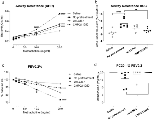 Figure 2. Airway function measurements following preventive treatment with wild-type L. rhamnosus GR-1 and CMPG11250, and allergic asthma induction. (a) Airway resistance (Rn) measurements in response to methacholine (0-20 mg/ml) as a reflection of airway hyperreactivity (AHR), and (b) Airway resistance (Rn) area under the curve (AUC) individual values and group means. (c) Forced expiratory volume as a percentage of baseline measurements at 0.2 s (FEV0.2%) in response to methacholine (0-20 mg/ml). (d) The concentration of provocative compound methacholine (PC20) causing a 20% drop in FEV0.2%. Mice are classified as hyperreactive if PC20 is lower than 20 mg/ml. Groups are labeled according to Figure 1c as follows: Saline: no asthma induction, not pretreated; No pretreatment: allergic asthma, not pretreated; wt LGR-1: allergic asthma, pretreated with wild-type L. rhamnosus GR-1; CMPG11250: allergic asthma, pretreated with recombinant L. rhamnosus GR-1 producing Bet v 1 (CMPG11250). Data are depicted as means. ##p < .01 and ####p < .0001 compared to the saline group; *p < .05, **p < .01 and ****p < .0001 compared to the no pretreatment group, n = 5–7 mice per group.